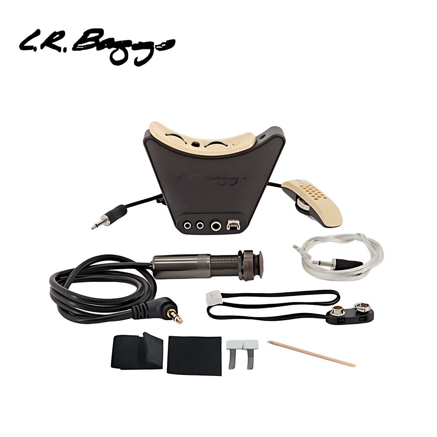 L.R. LR Baggs guitar pickup