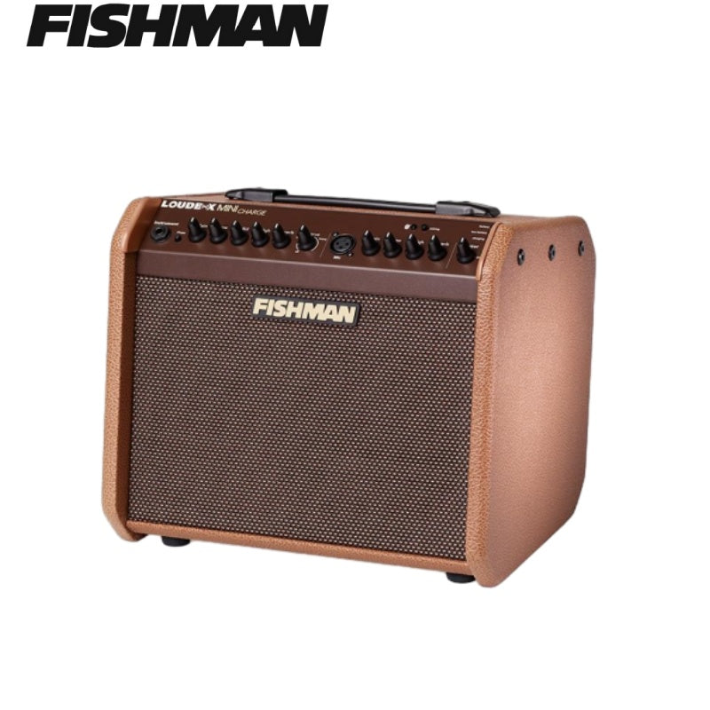 Fishman Bluetooth Multifunctional Guitar Amplifier