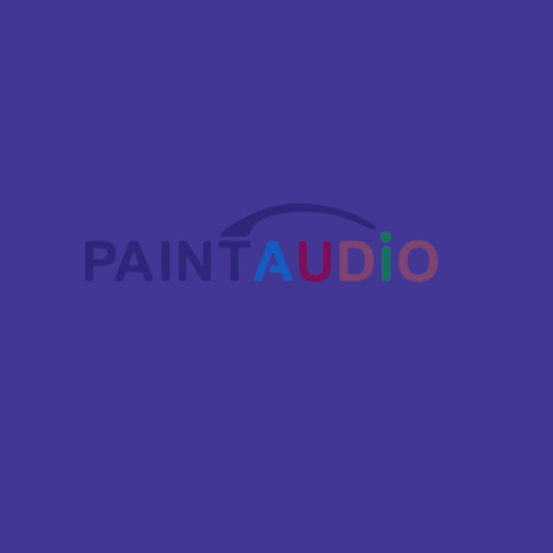 PaintAudio Instructions